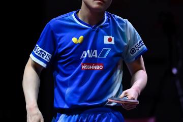 乐鱼 vip 注册-法国乒乓球队力克日本乒乓球队，张本智和惊艳世界的简单介绍